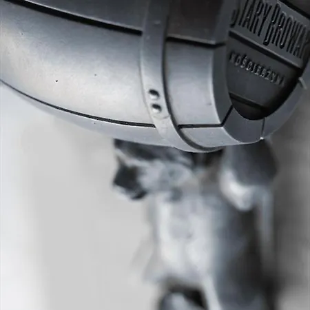 מלון Browar קושצ'יז'נה